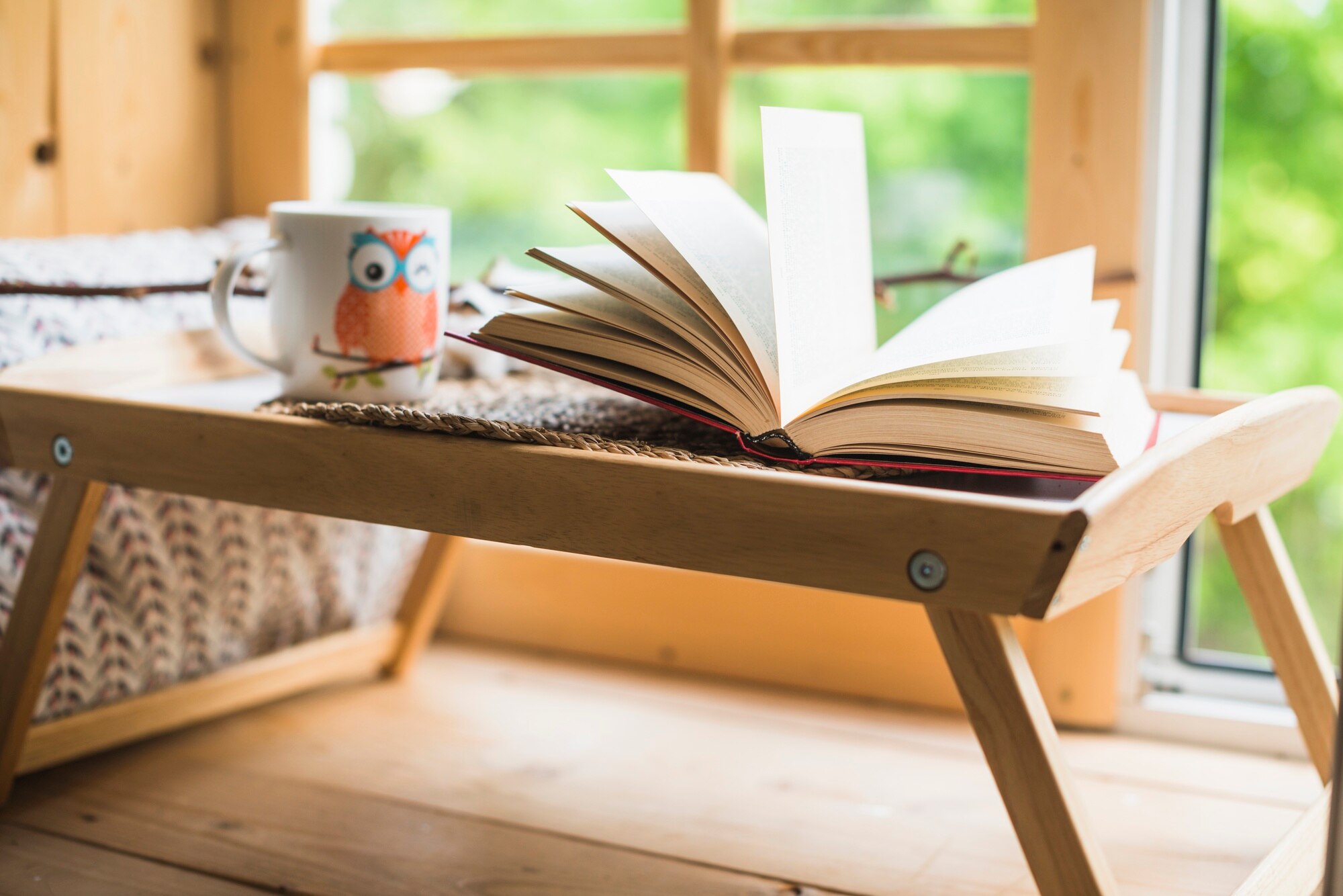Espacio de lectura ordenado con luz natural